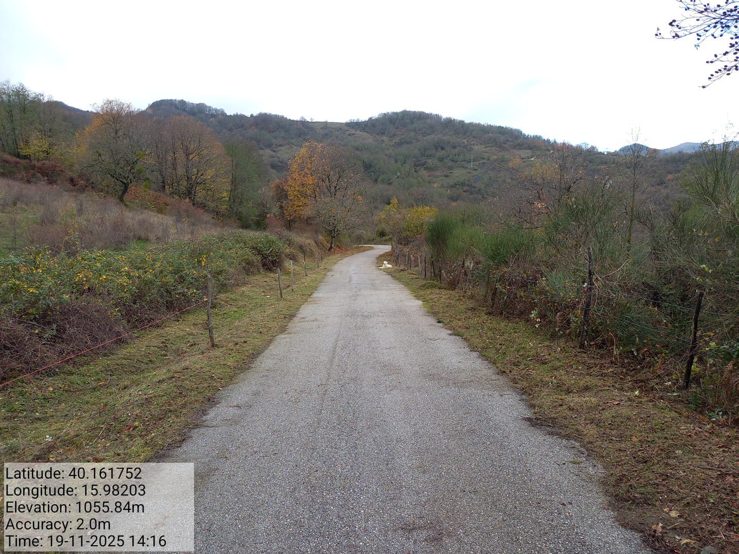 Galleria Fotografica Immagine