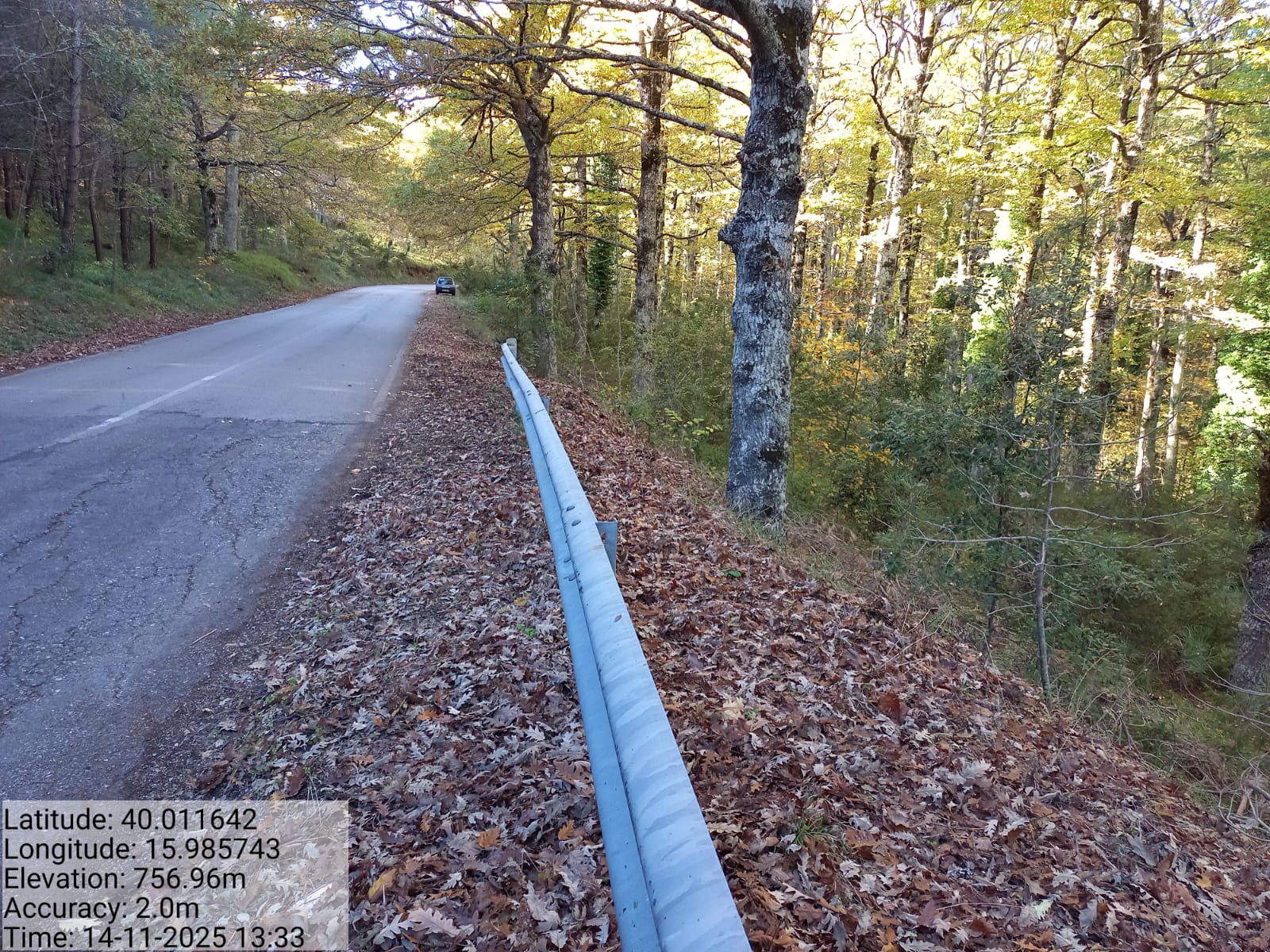 Galleria Fotografica Immagine