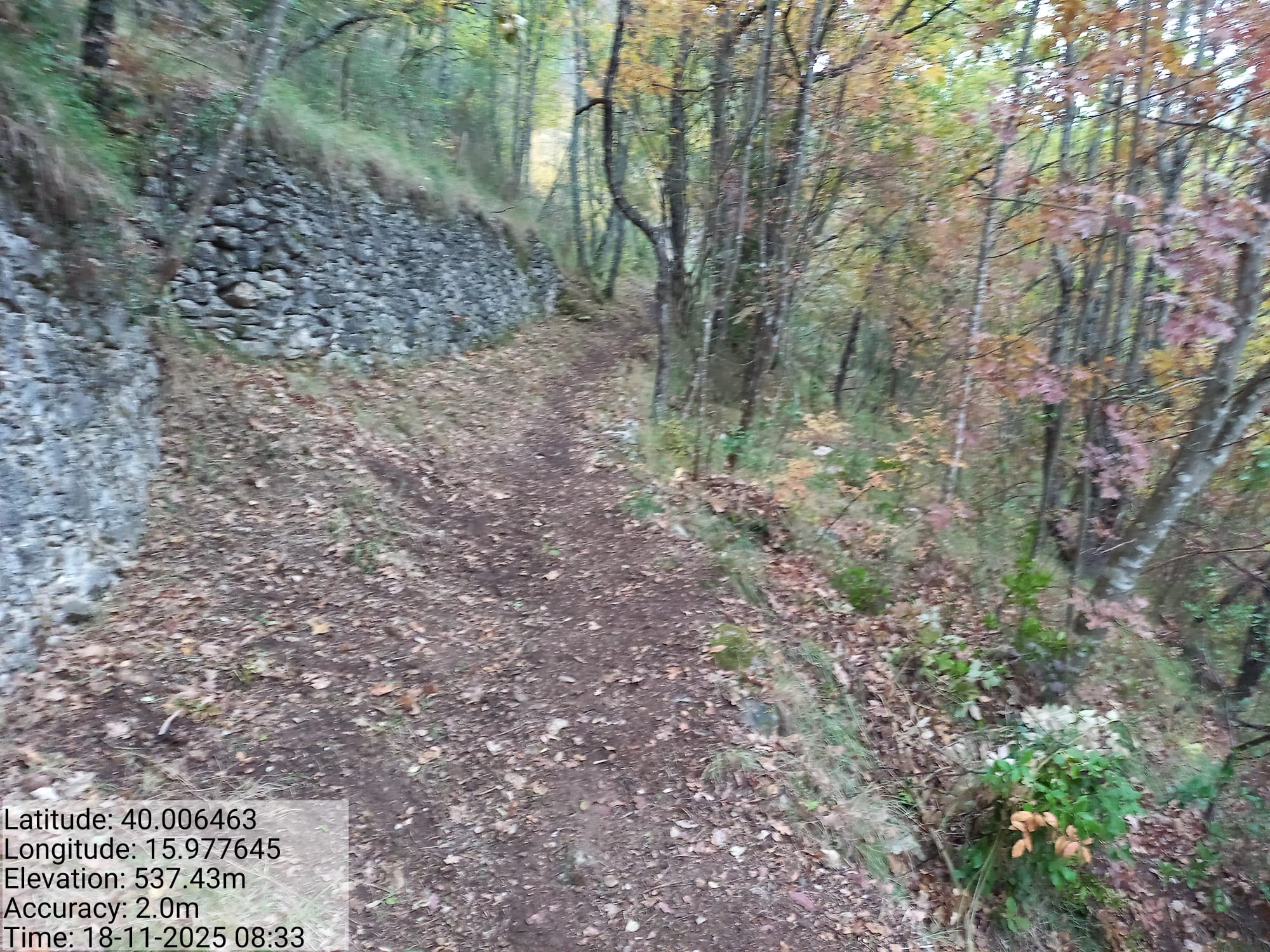 Galleria Fotografica Immagine