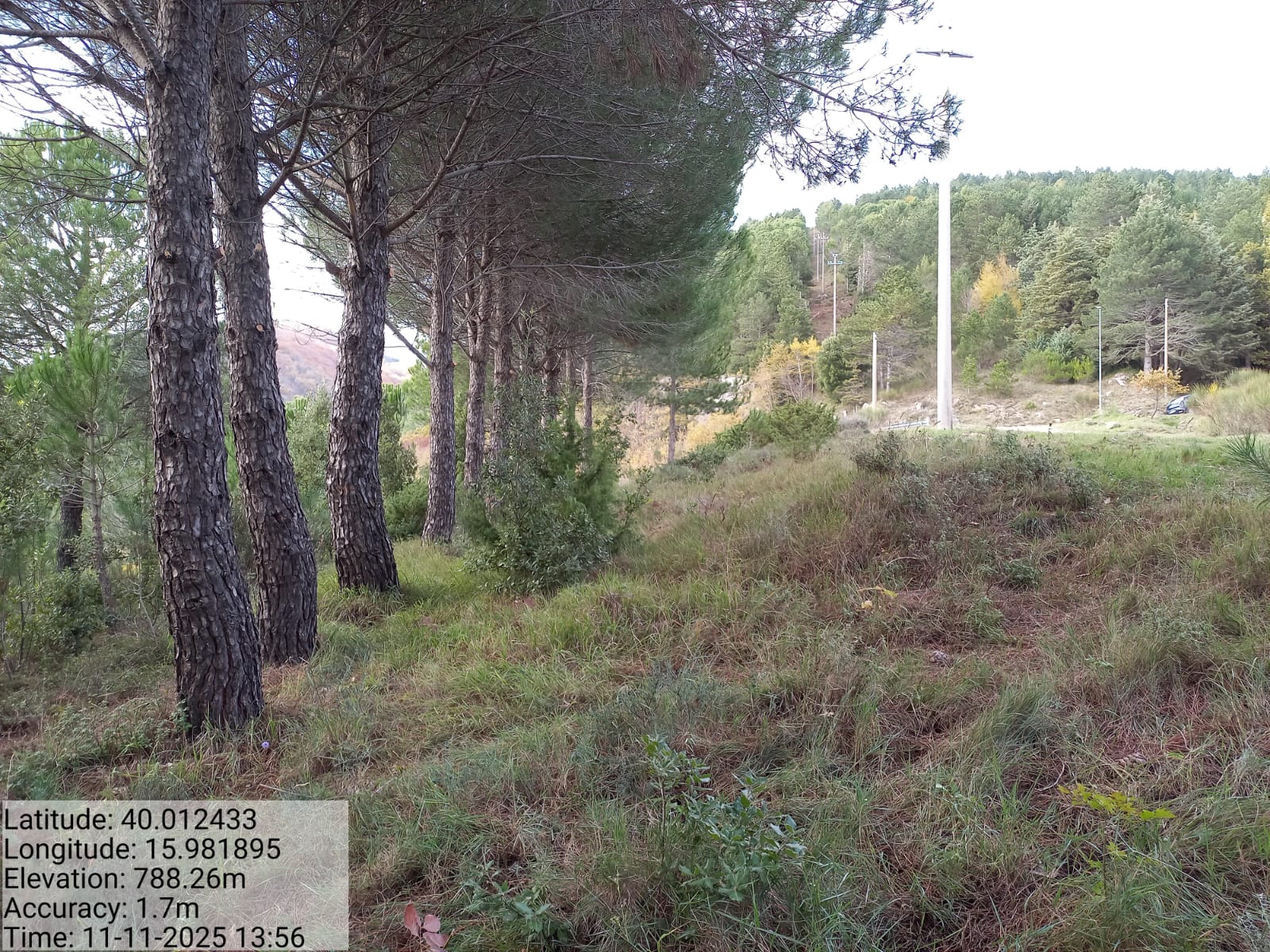 Galleria Fotografica Immagine