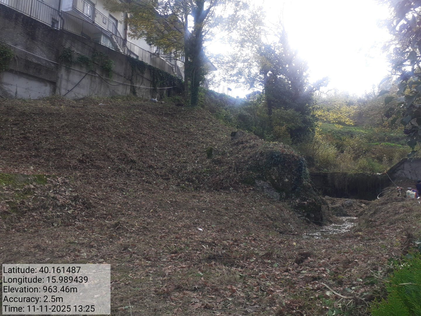 Galleria Fotografica Immagine