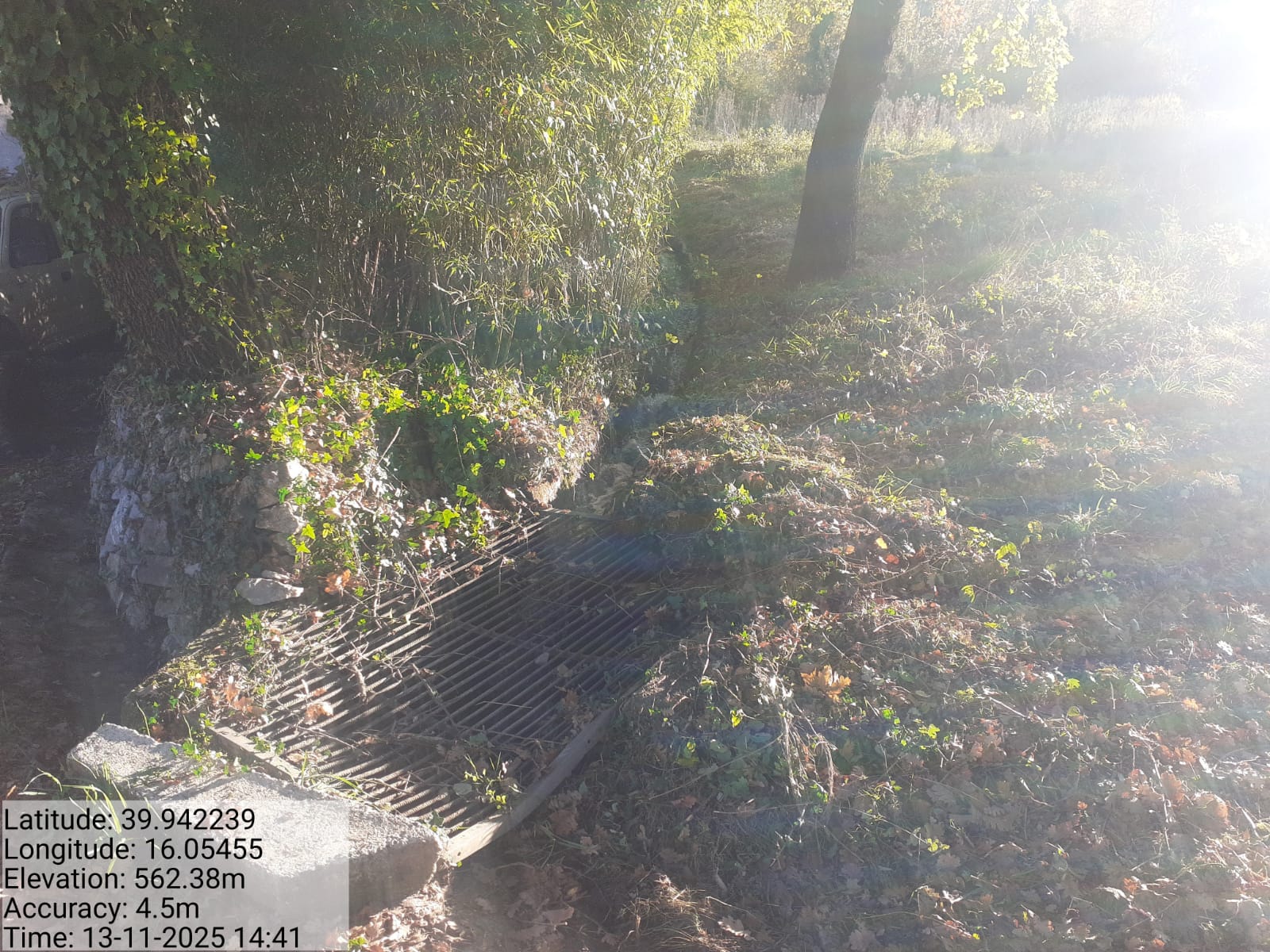 Galleria Fotografica Immagine