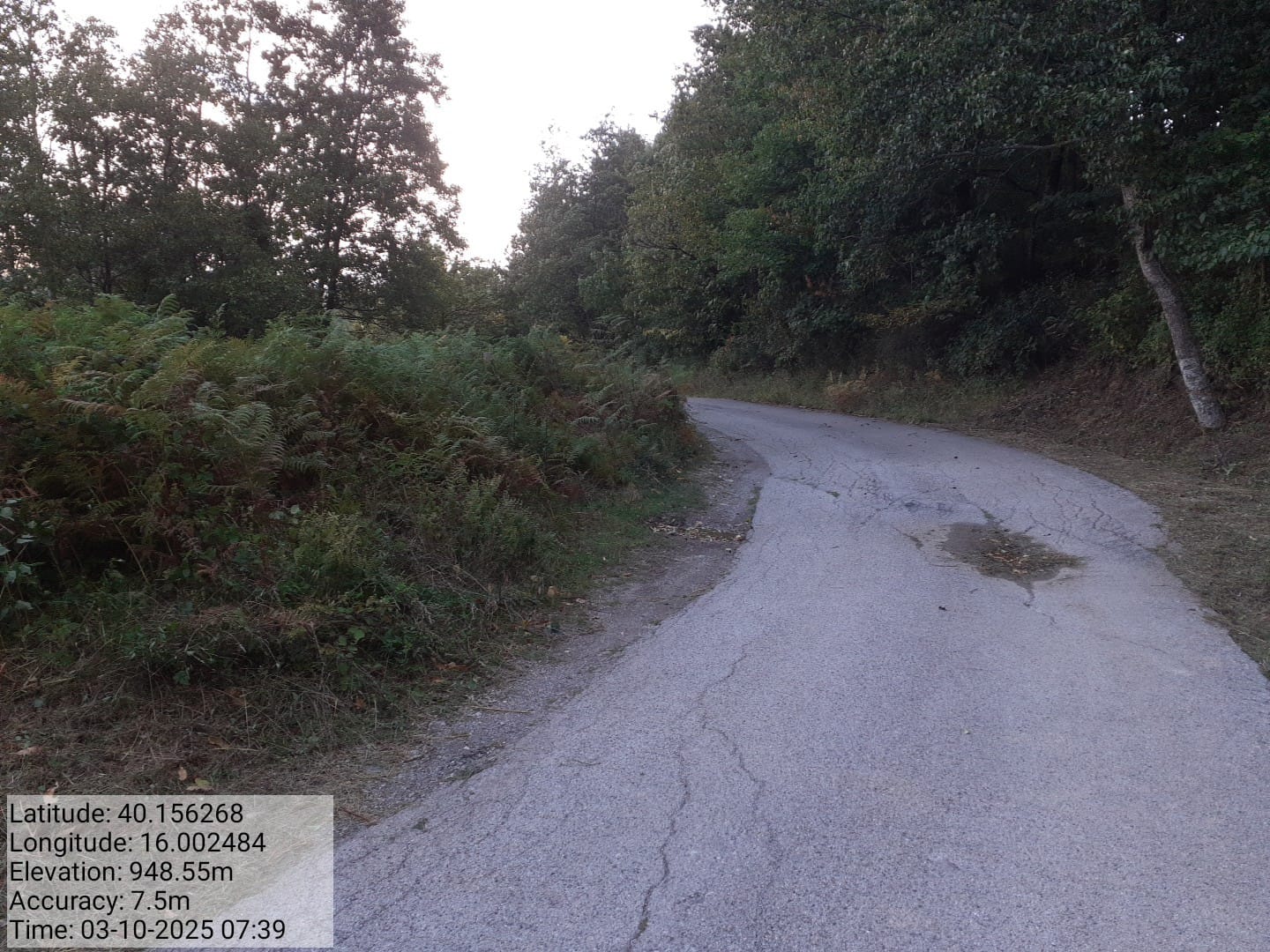 Galleria Fotografica Immagine