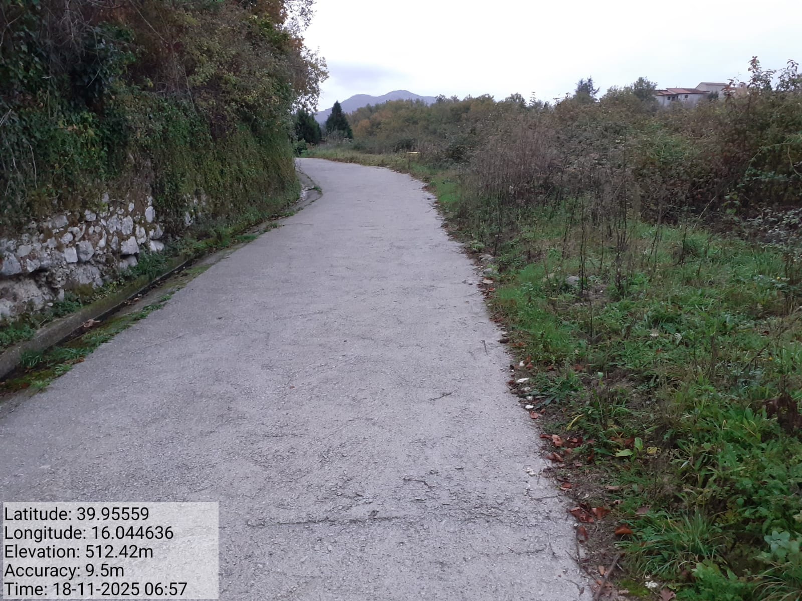 Galleria Fotografica Immagine