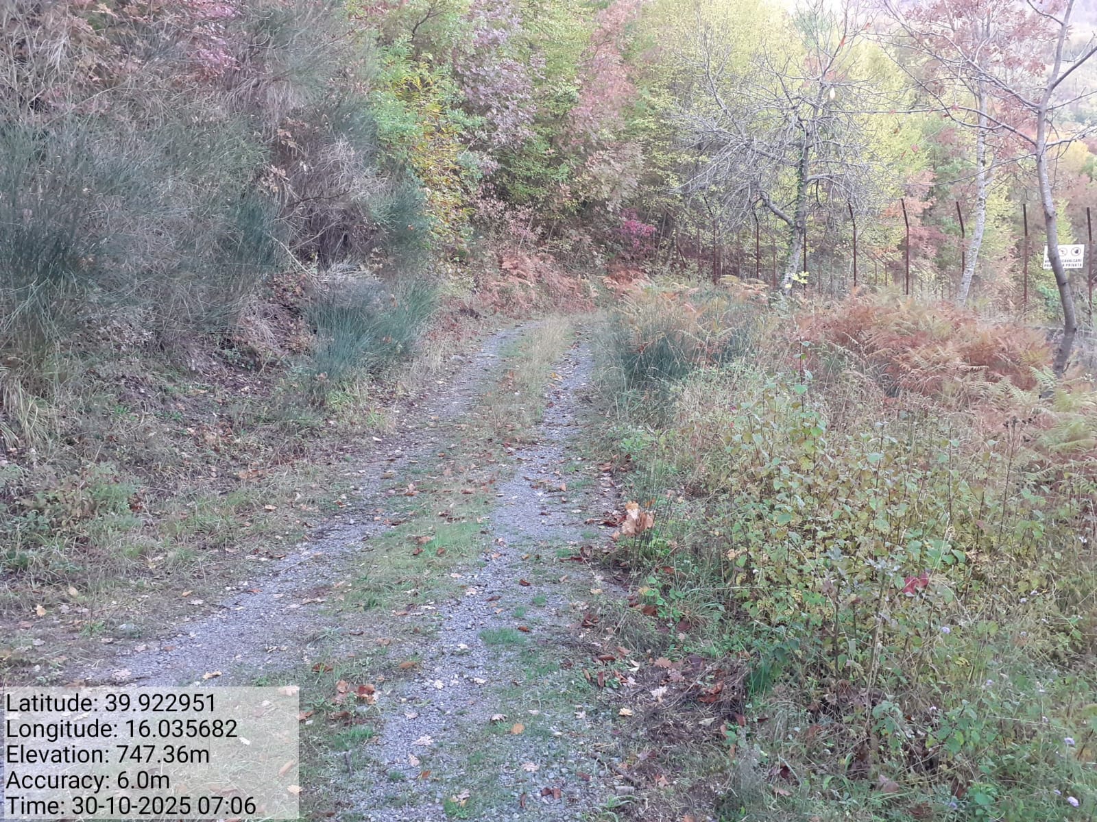 Galleria Fotografica Immagine