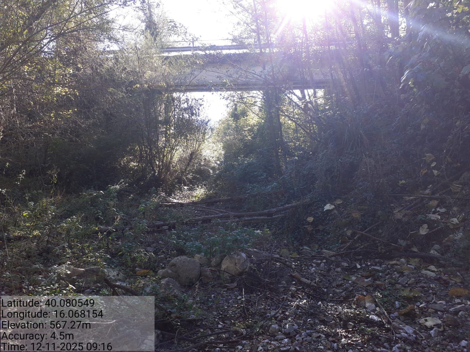 Galleria Fotografica Immagine