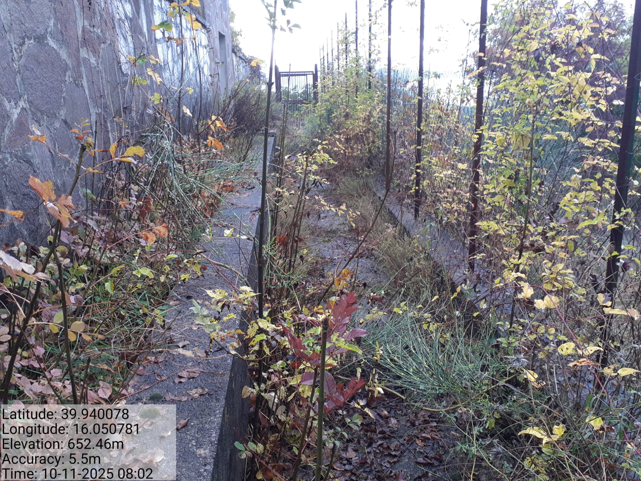 Galleria Fotografica Immagine