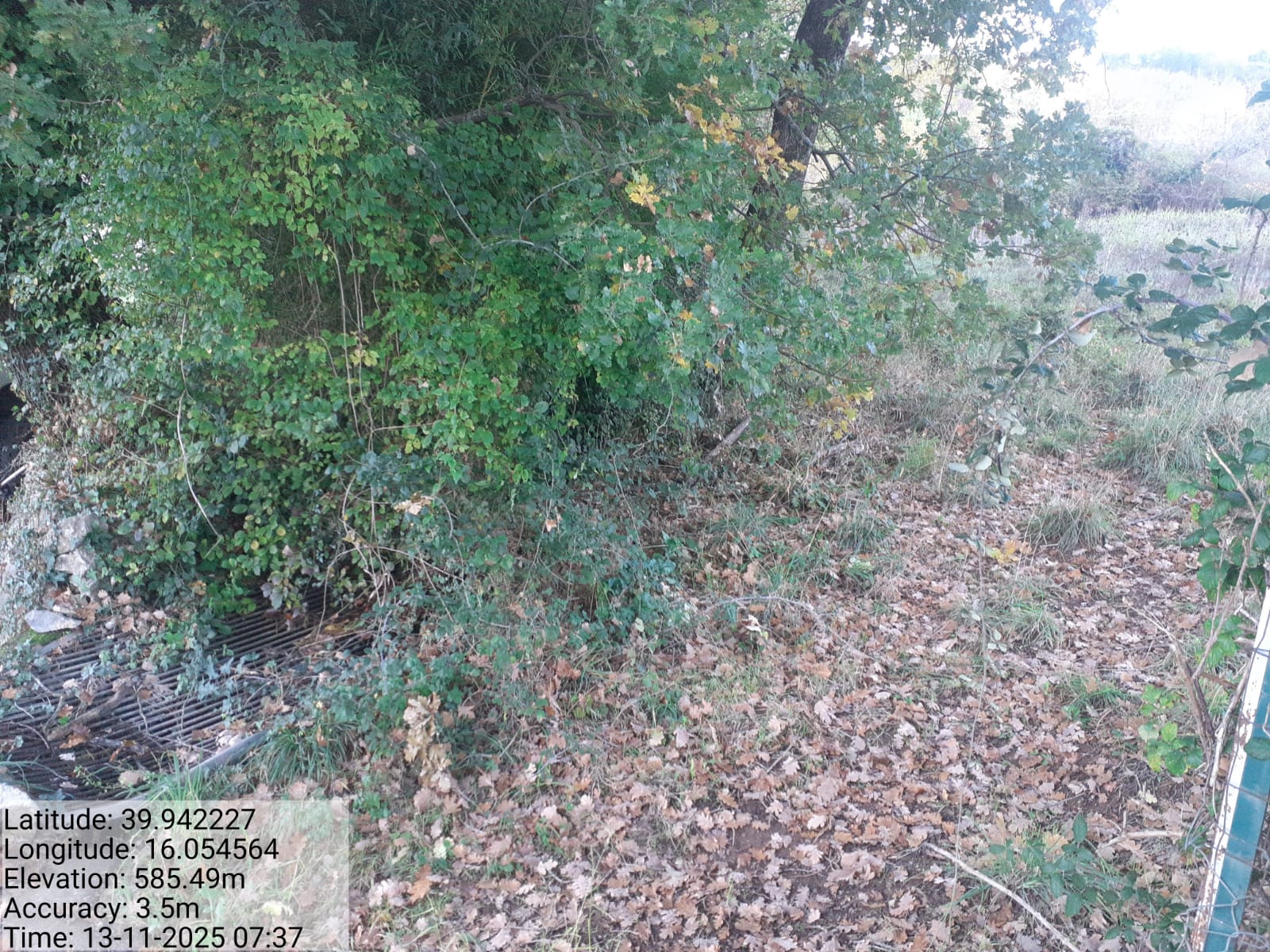 Galleria Fotografica Immagine