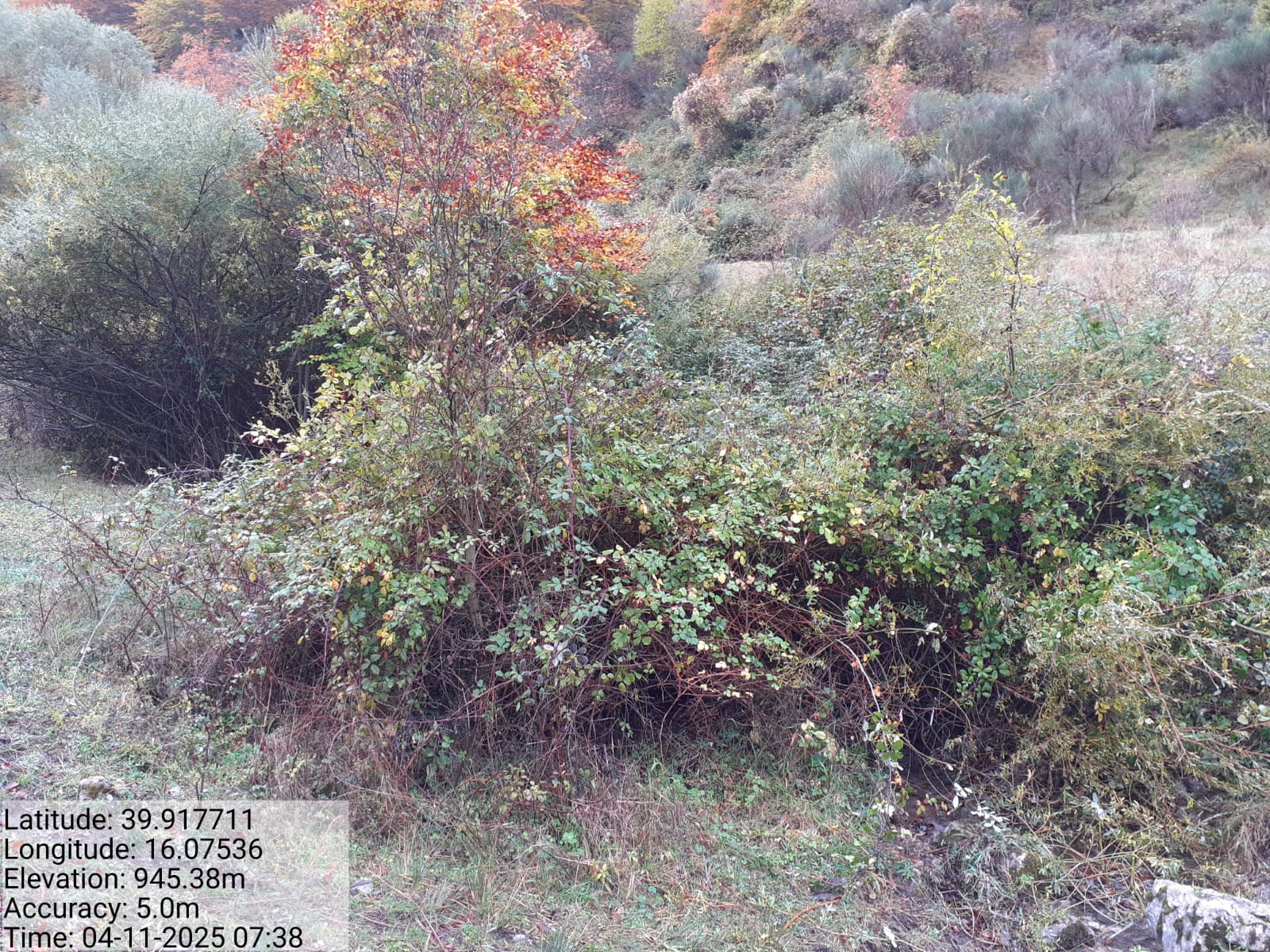 Galleria Fotografica Immagine