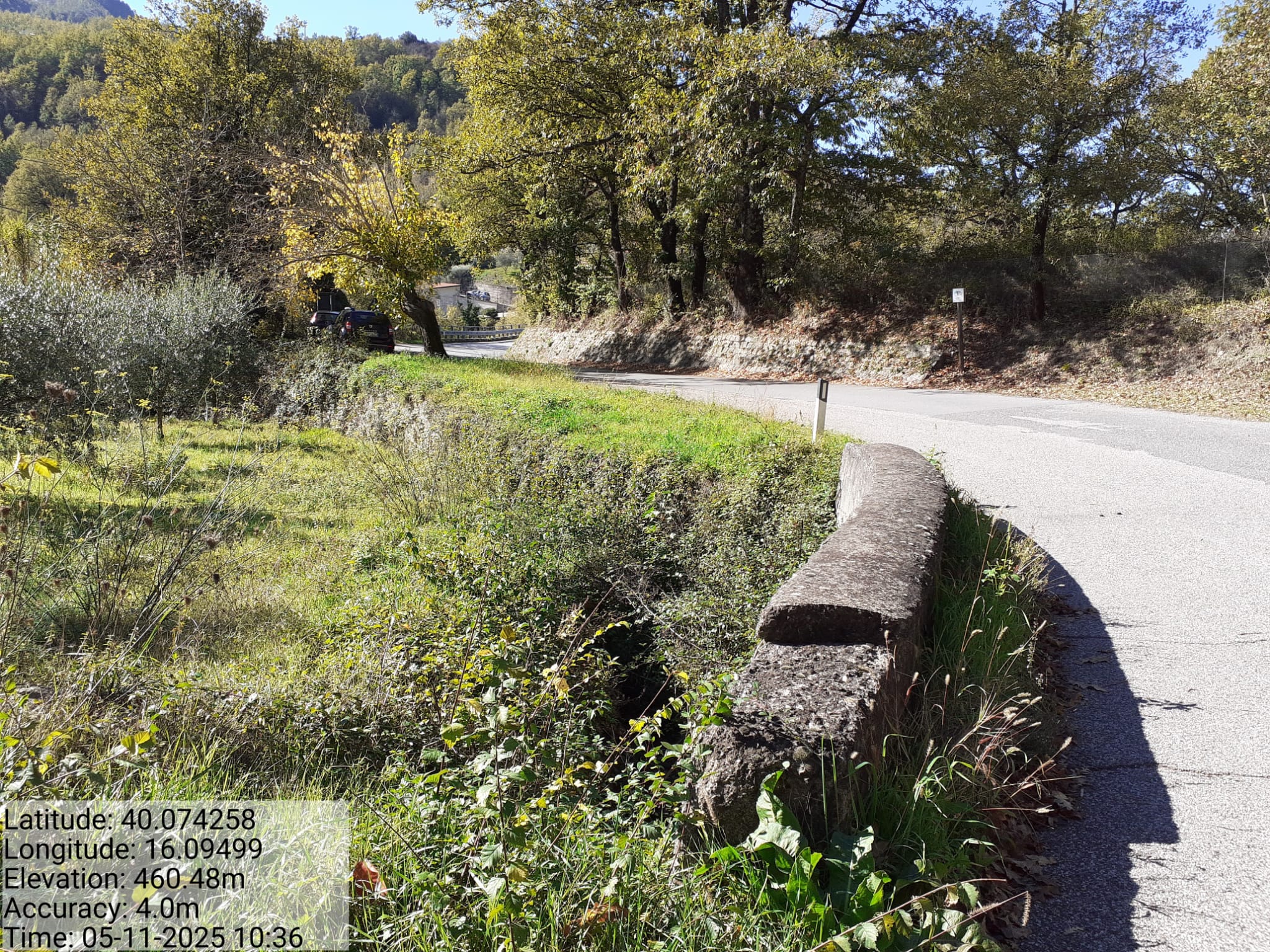 Galleria Fotografica Immagine