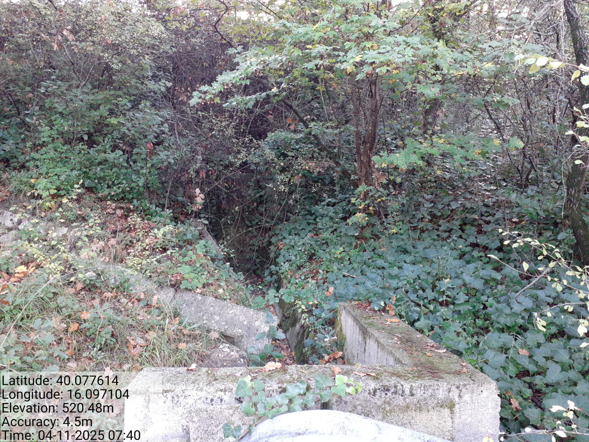 Galleria Fotografica Immagine