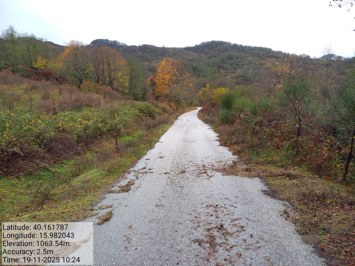 Galleria Fotografica Immagine