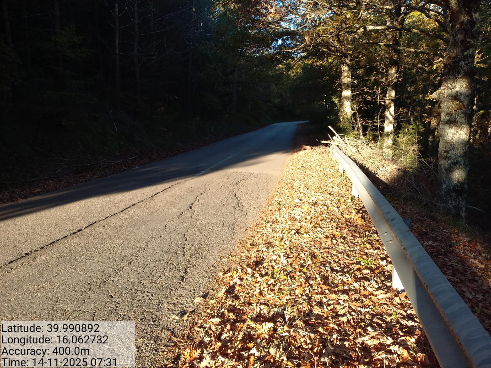 Galleria Fotografica Immagine