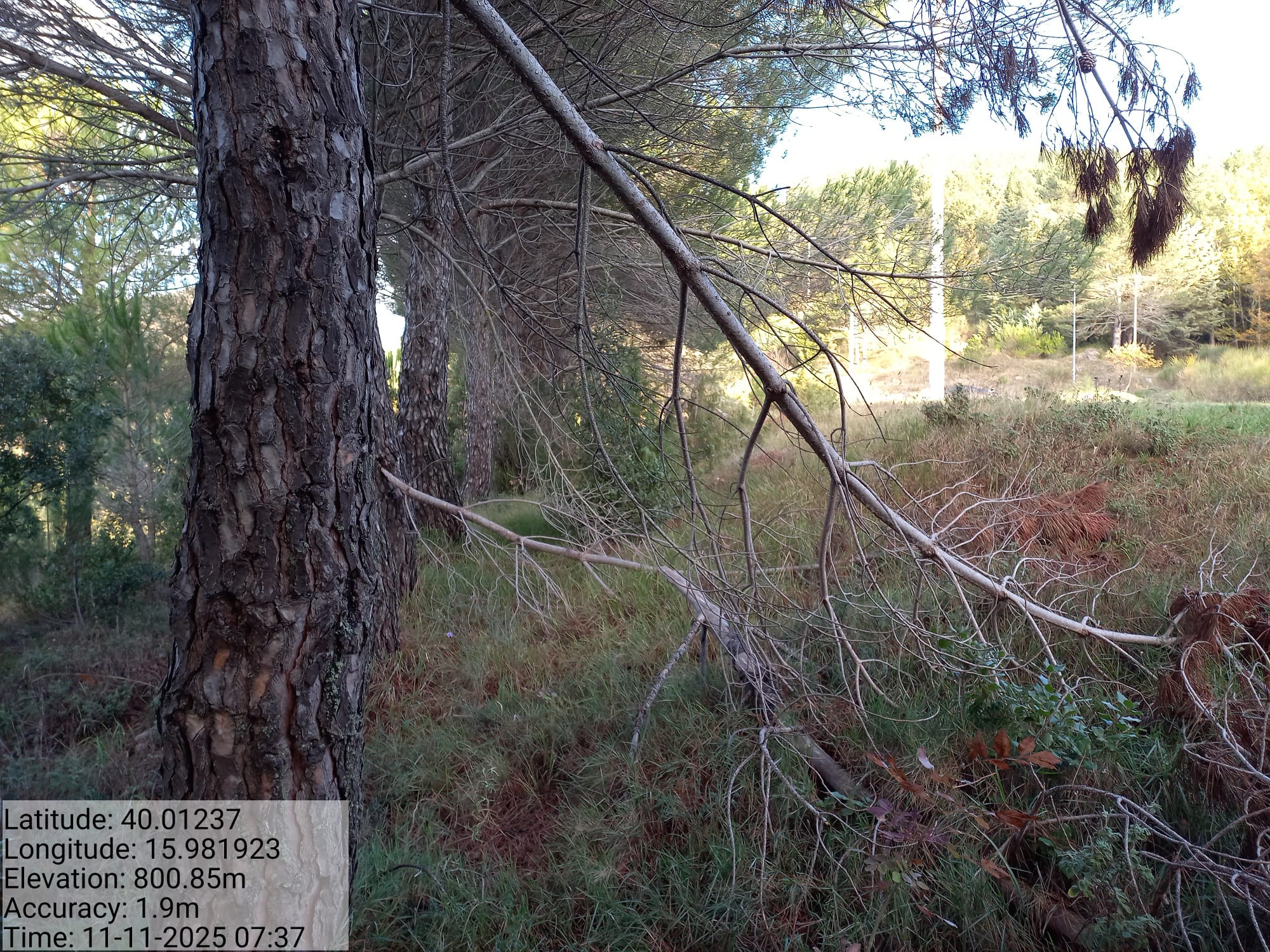 Galleria Fotografica Immagine