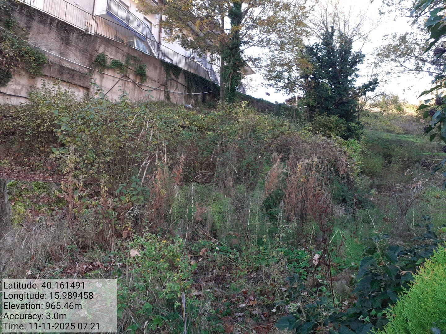 Galleria Fotografica Immagine