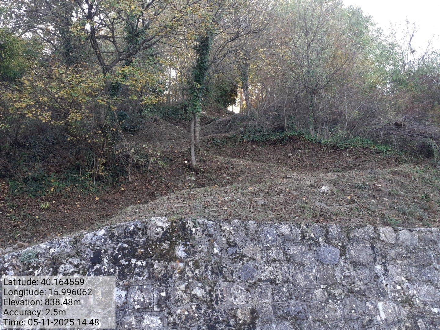 Galleria Fotografica Immagine