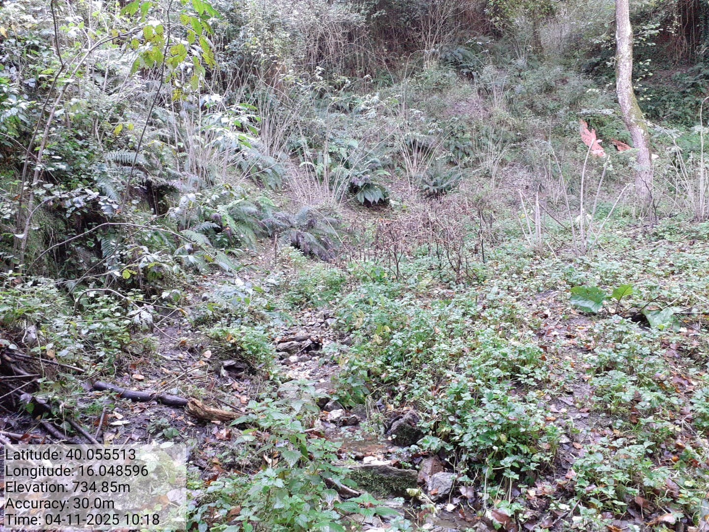 Galleria Fotografica Immagine