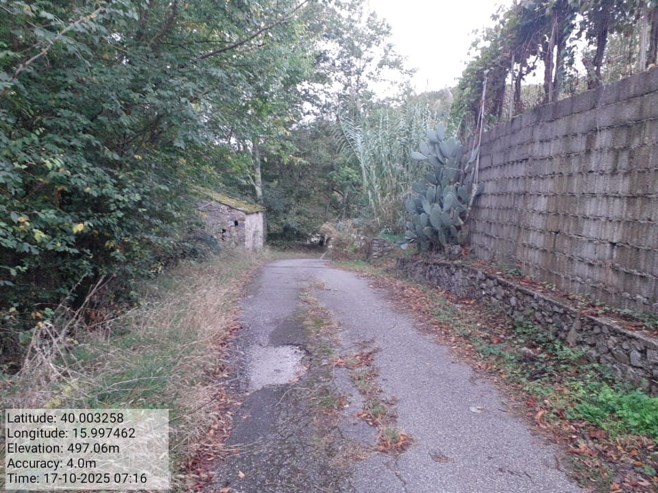 Galleria Fotografica Immagine