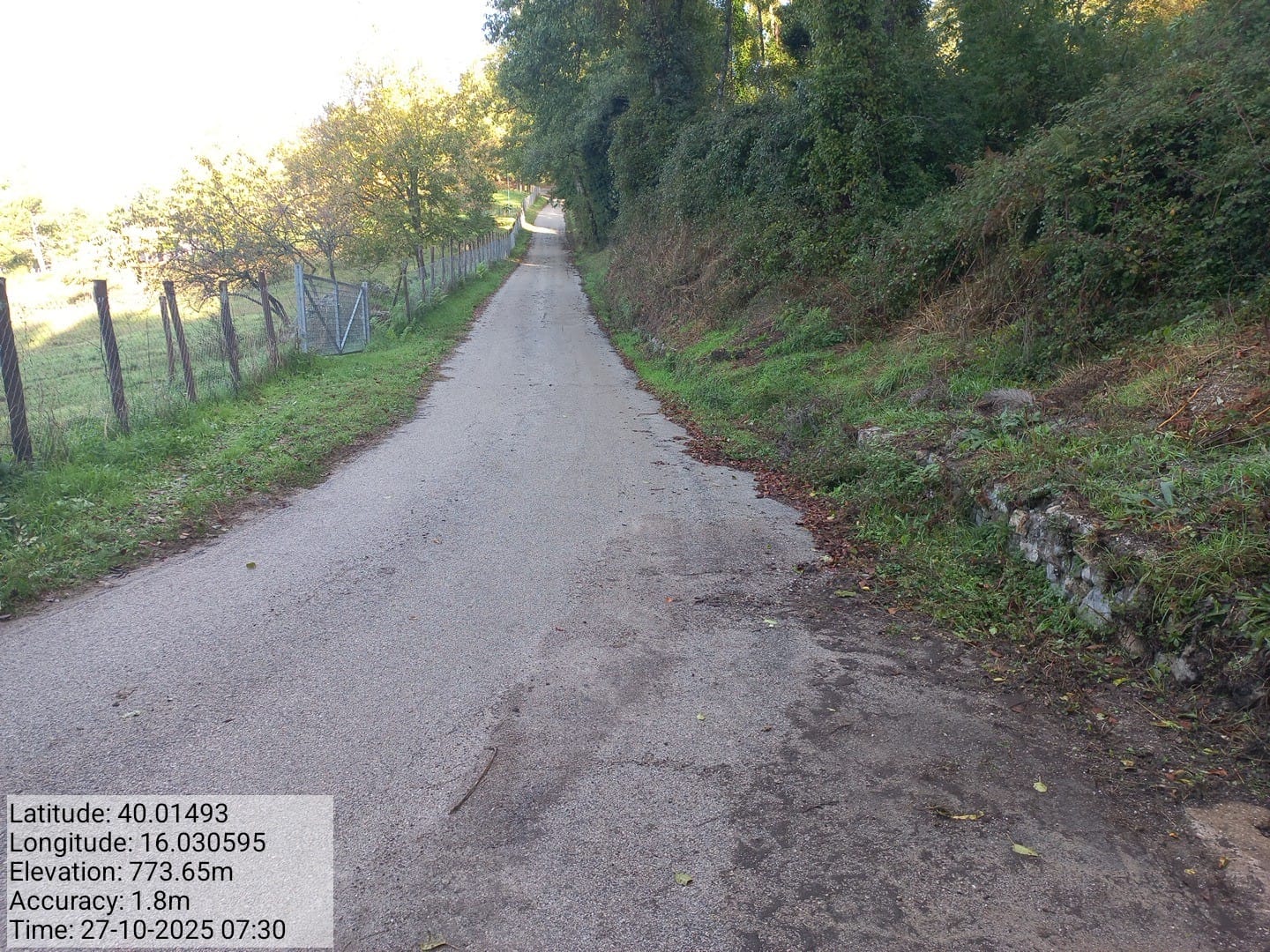 Galleria Fotografica Immagine