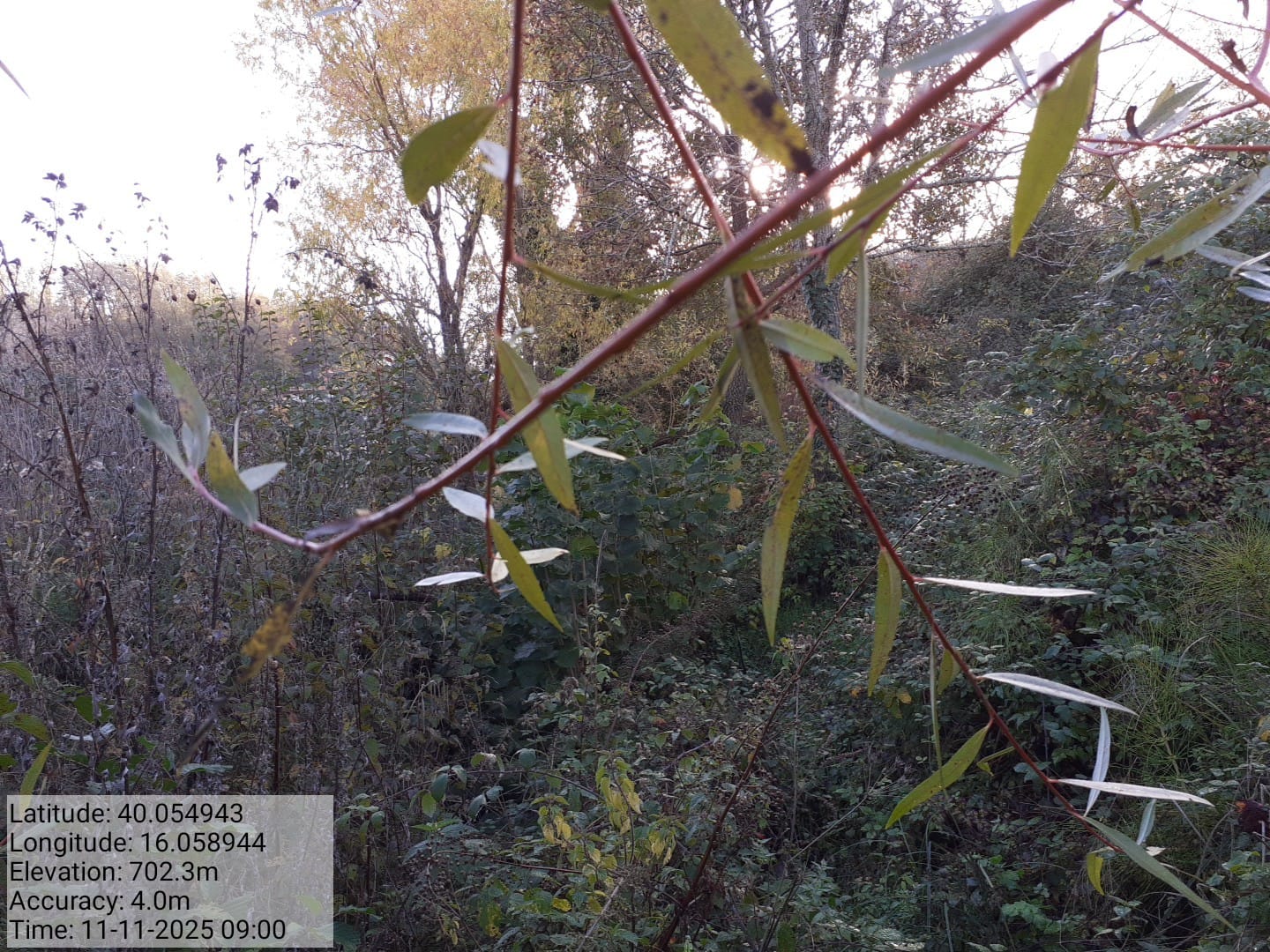 Galleria Fotografica Immagine