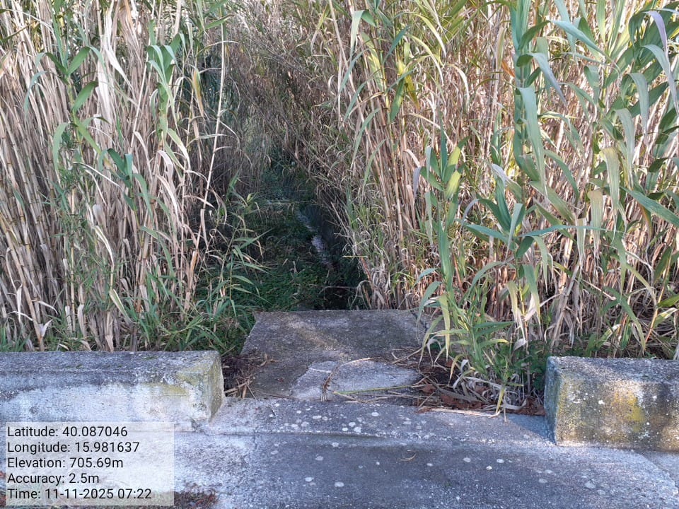 Galleria Fotografica Immagine