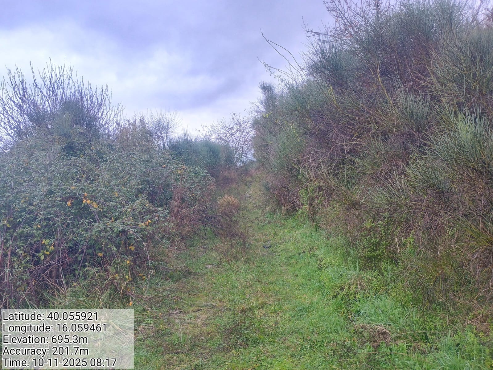 Galleria Fotografica Immagine