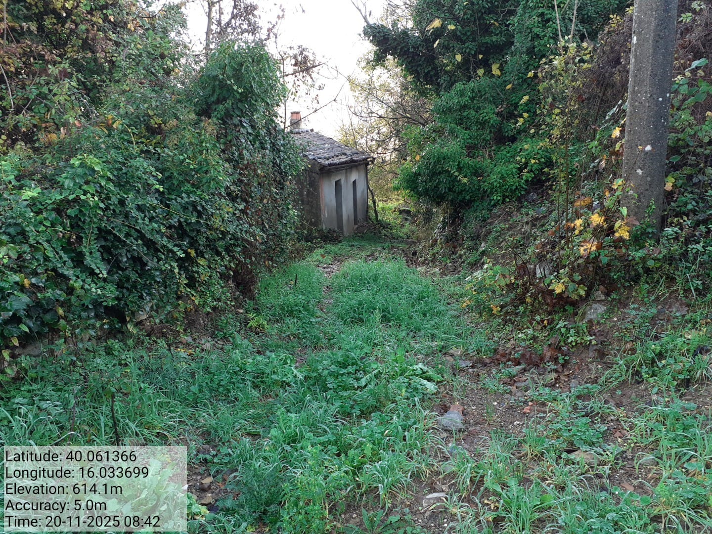 Galleria Fotografica Immagine