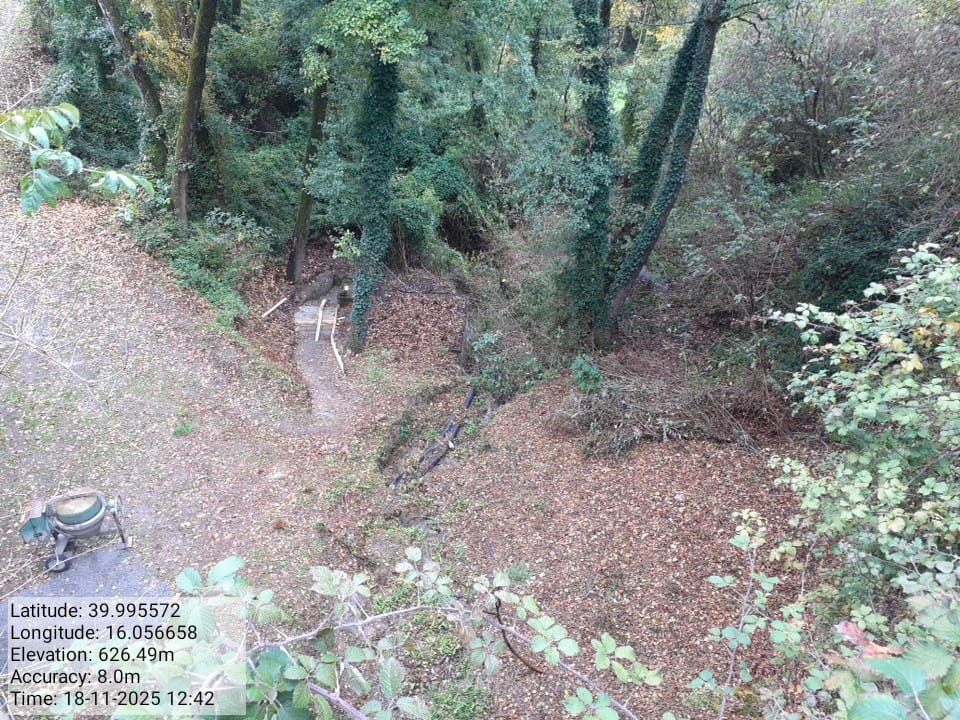 Galleria Fotografica Immagine