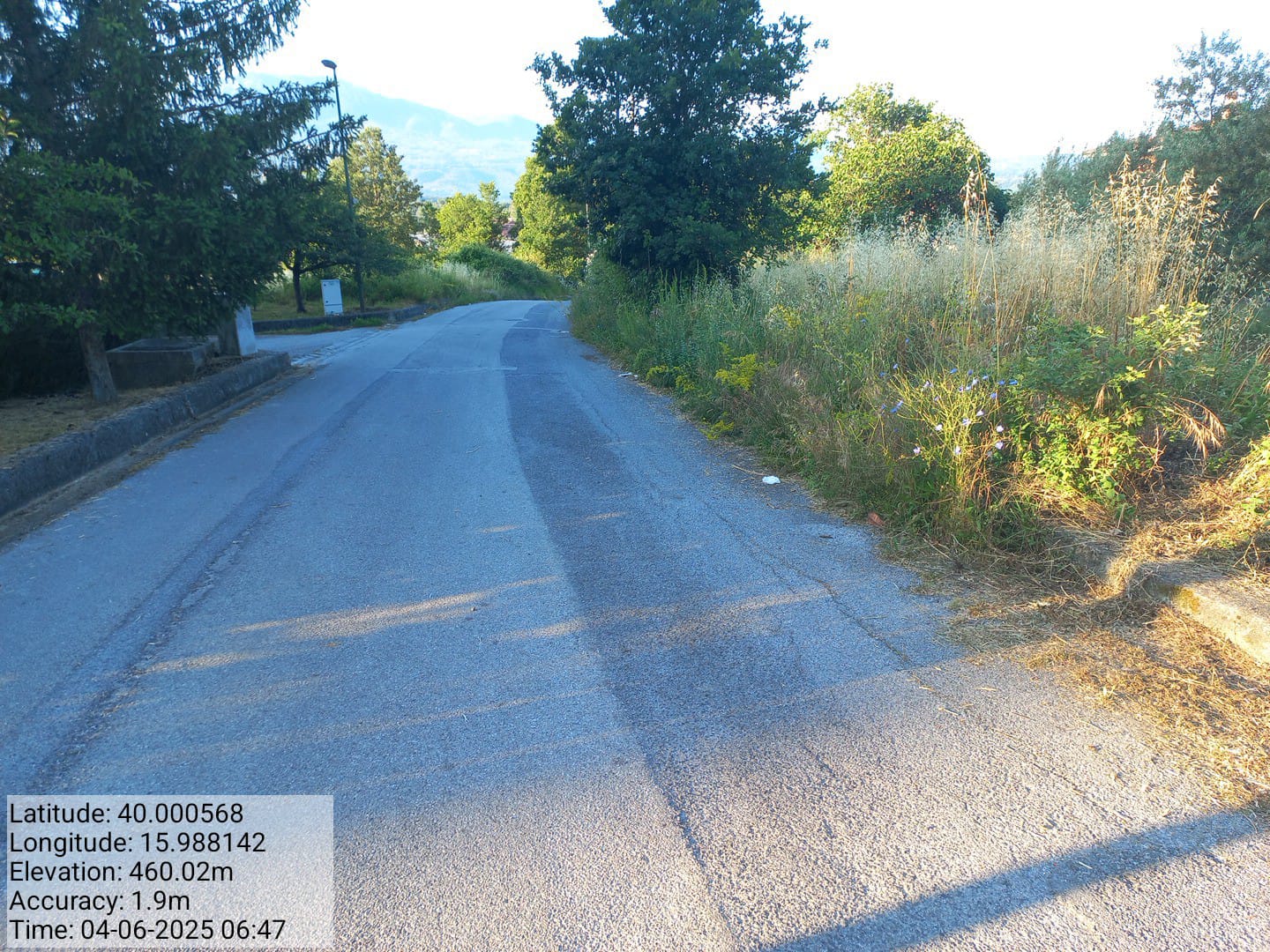 Galleria Fotografica Immagine