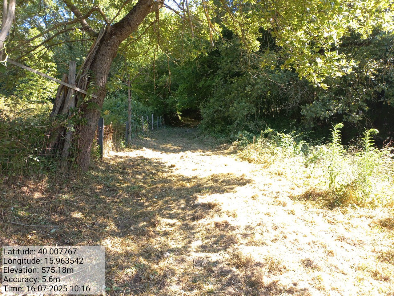 Galleria Fotografica Immagine