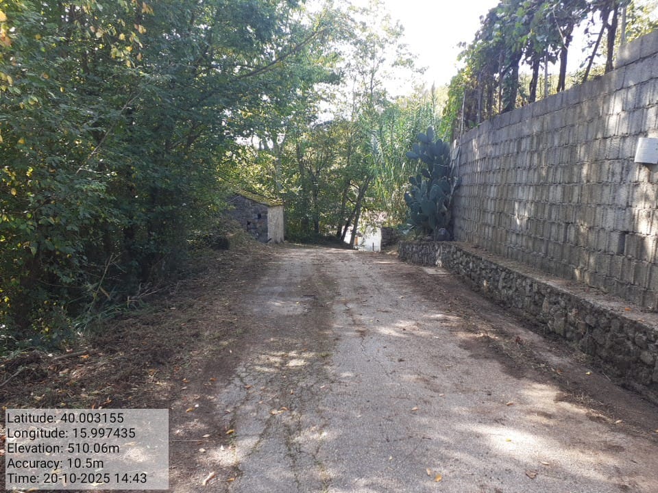 Galleria Fotografica Immagine