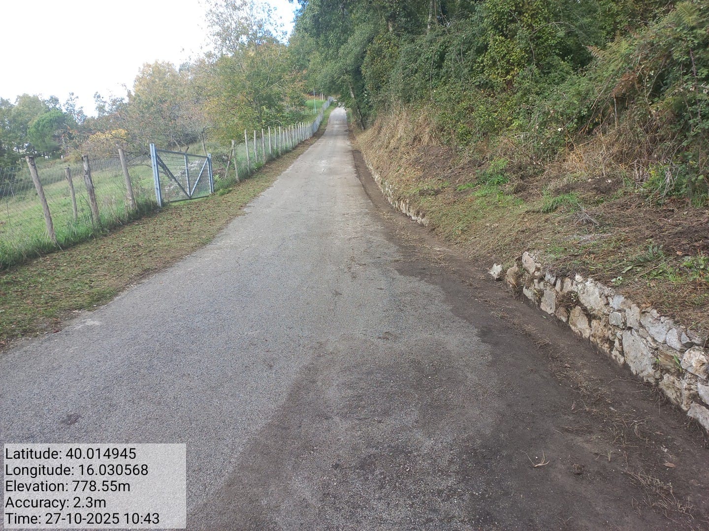 Galleria Fotografica Immagine