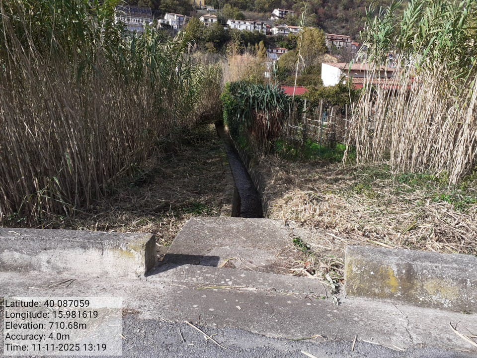 Galleria Fotografica Immagine