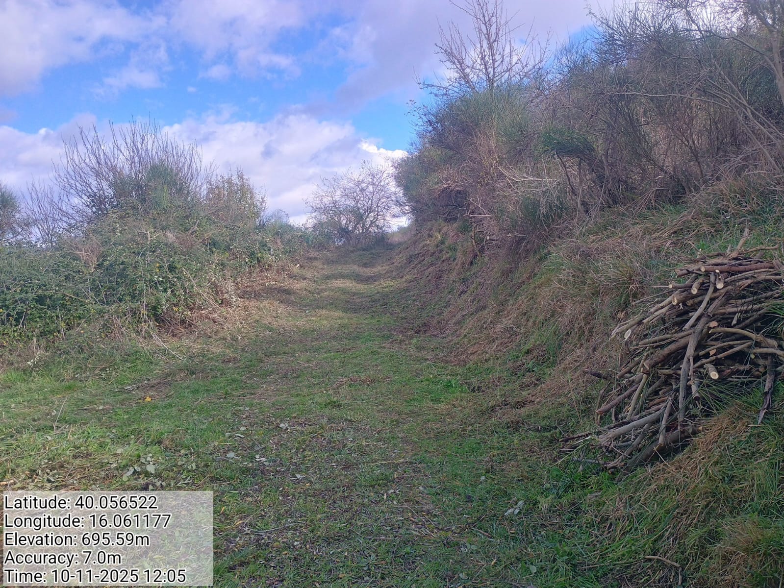 Galleria Fotografica Immagine