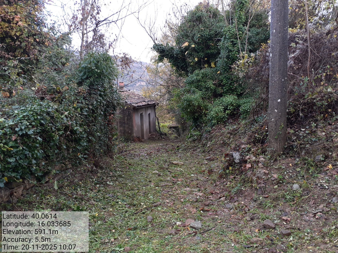 Galleria Fotografica Immagine