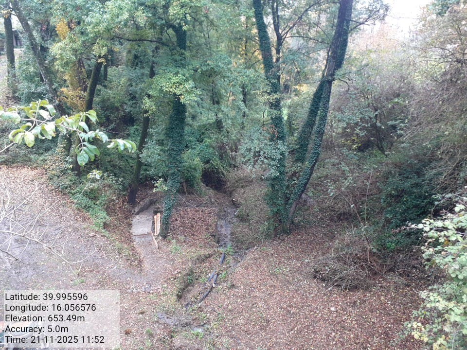 Galleria Fotografica Immagine