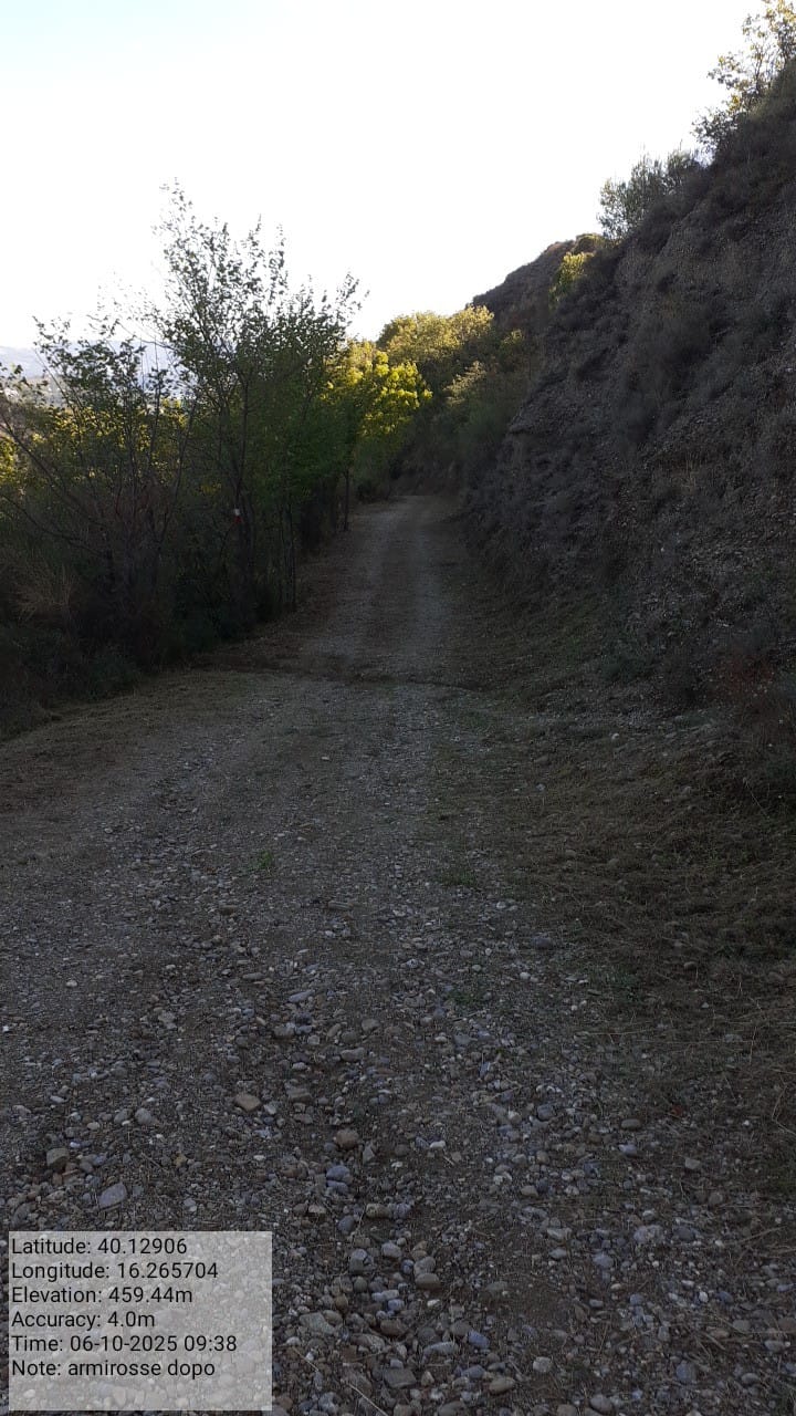 Galleria Fotografica Immagine