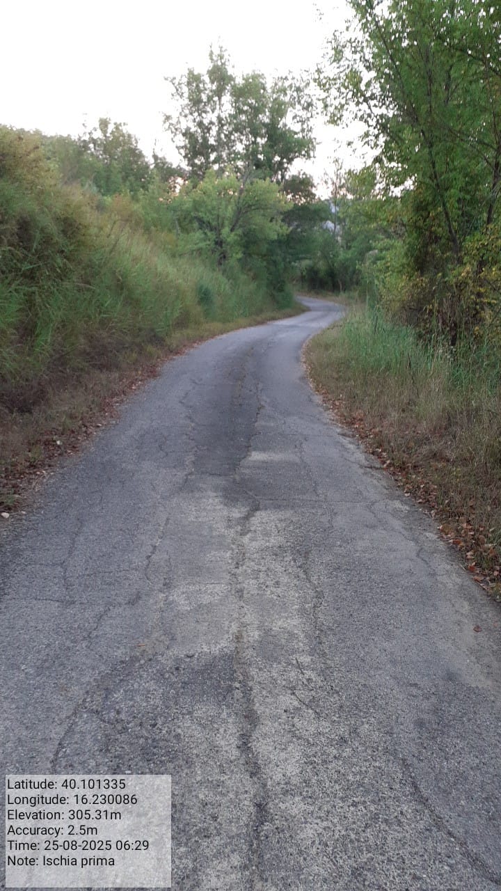 Galleria Fotografica Immagine