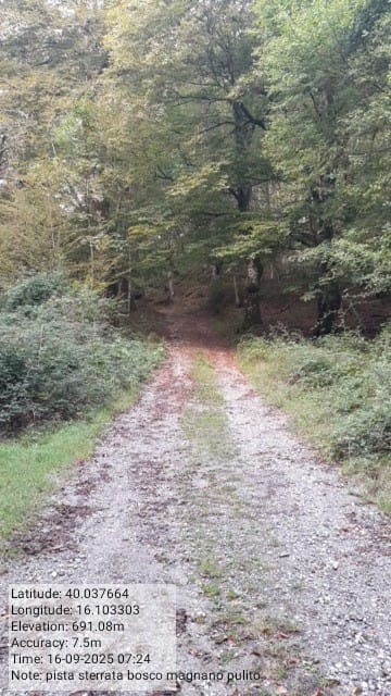 Galleria Fotografica Immagine