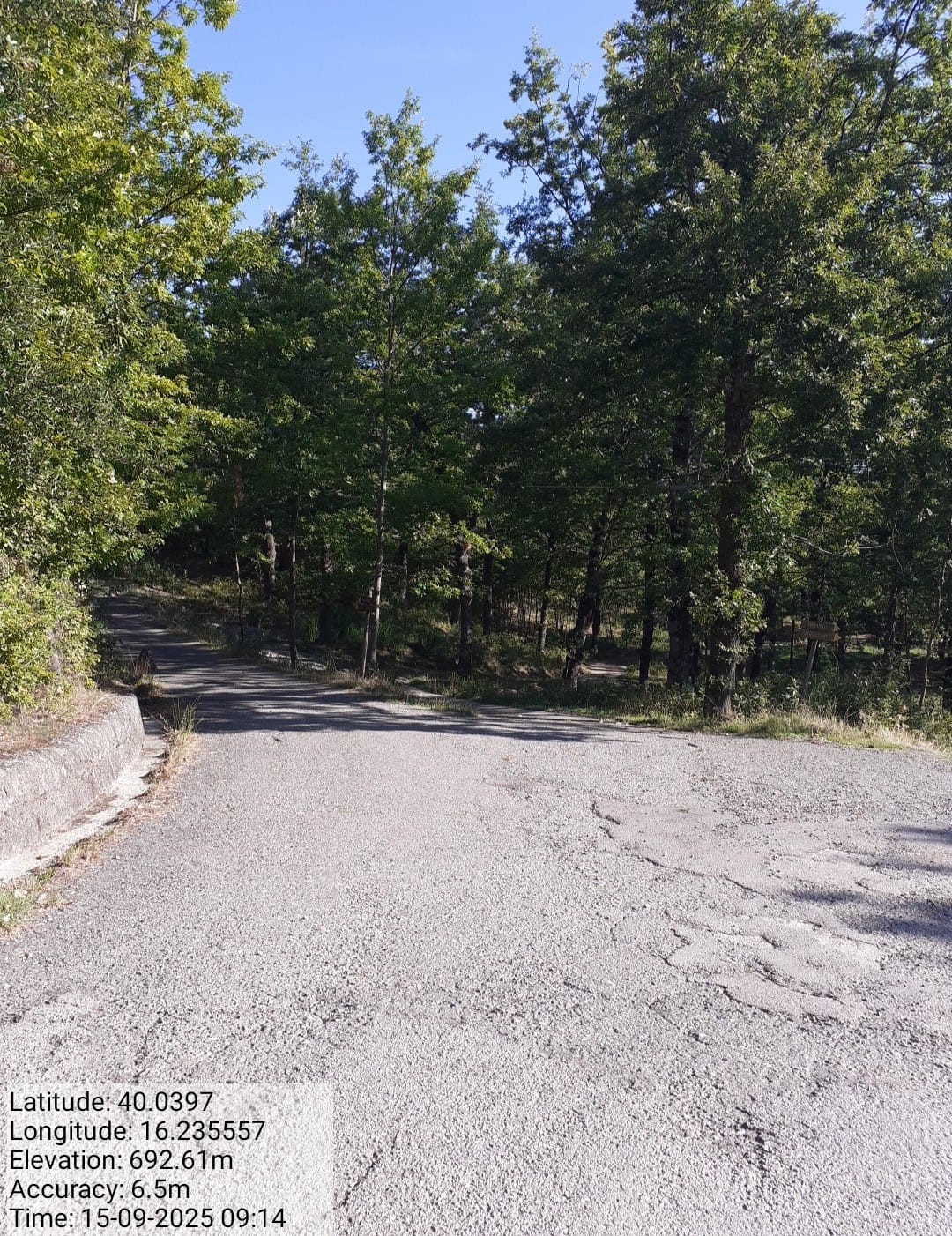 Galleria Fotografica Immagine