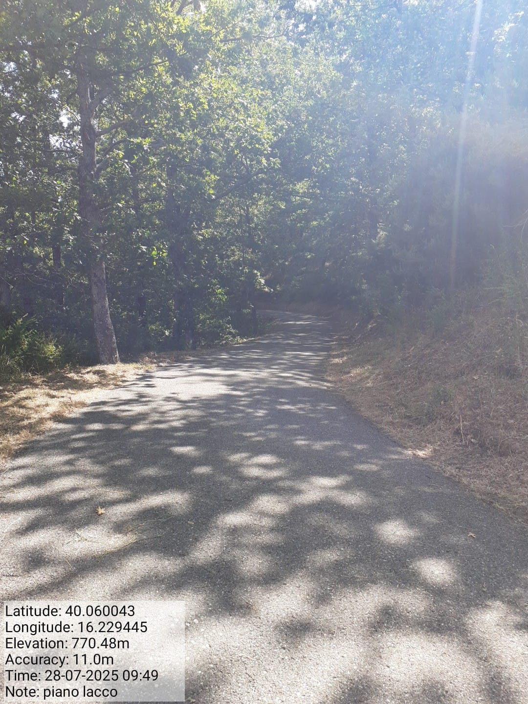 Galleria Fotografica Immagine