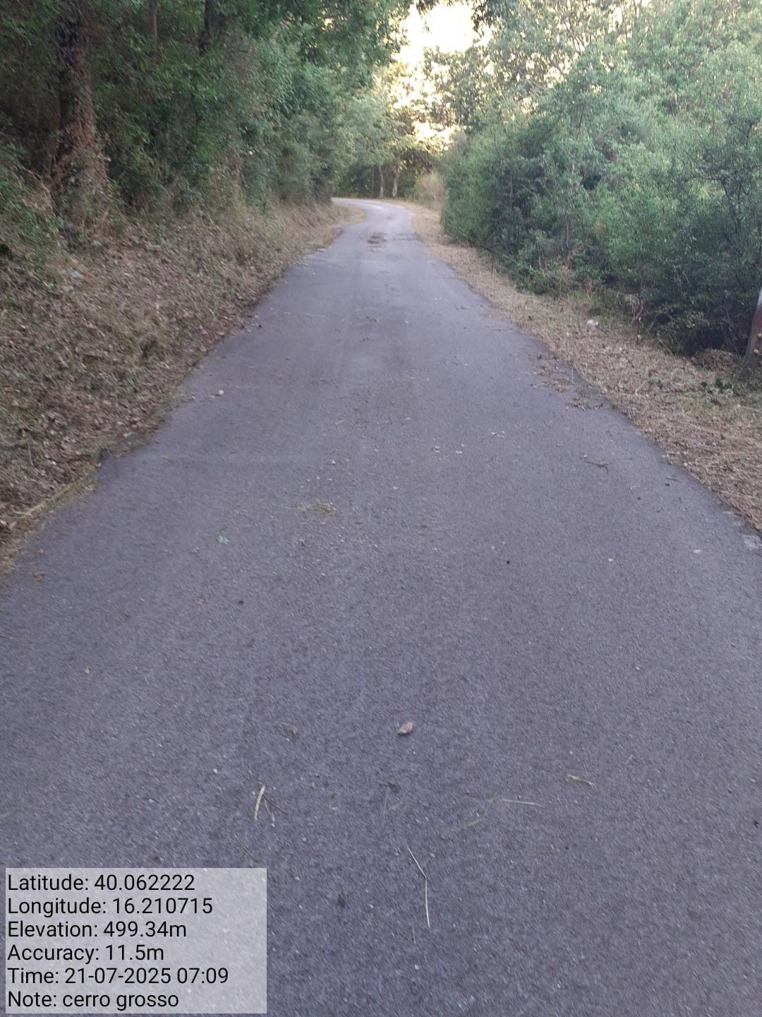 Galleria Fotografica Immagine