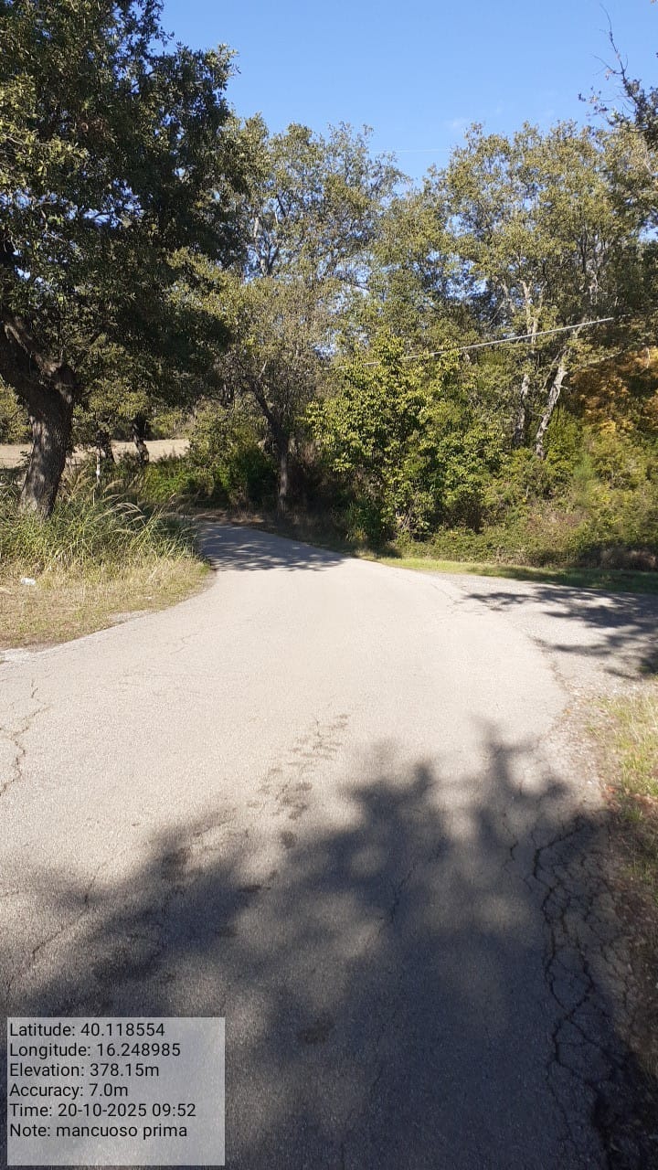 Galleria Fotografica Immagine