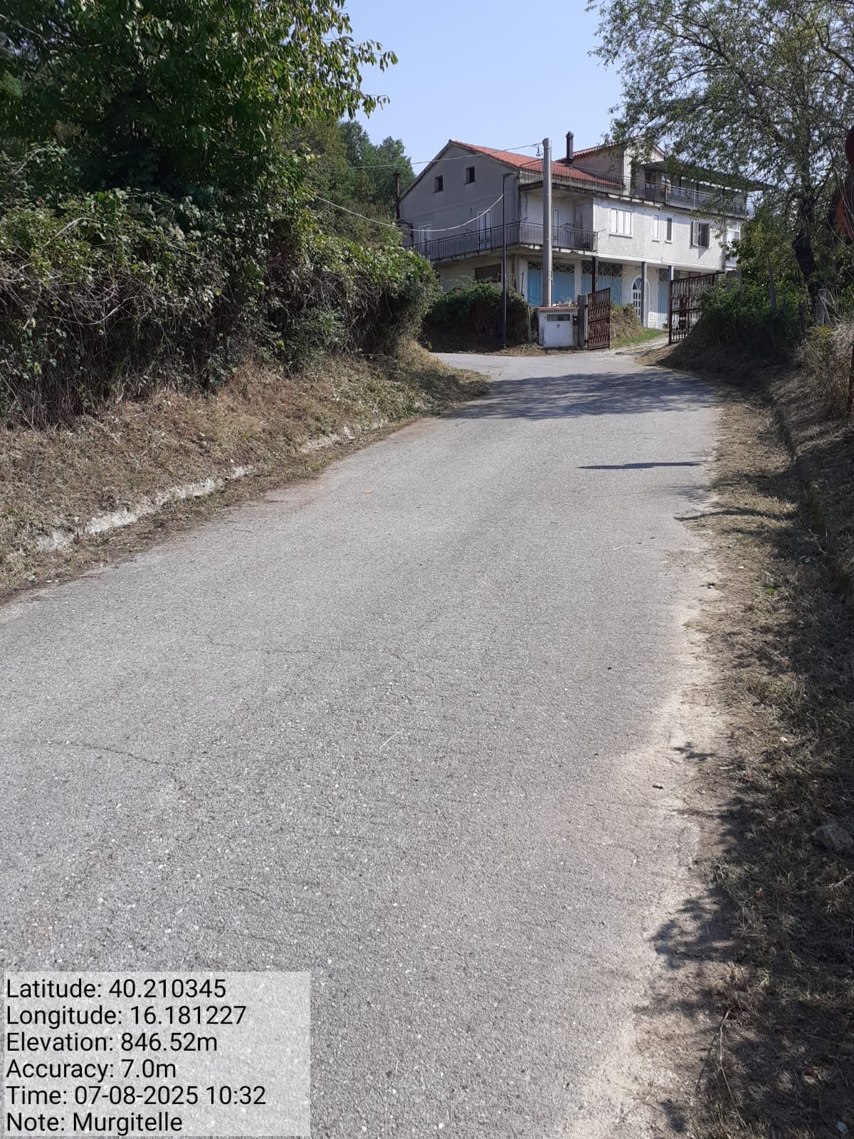 Galleria Fotografica Immagine