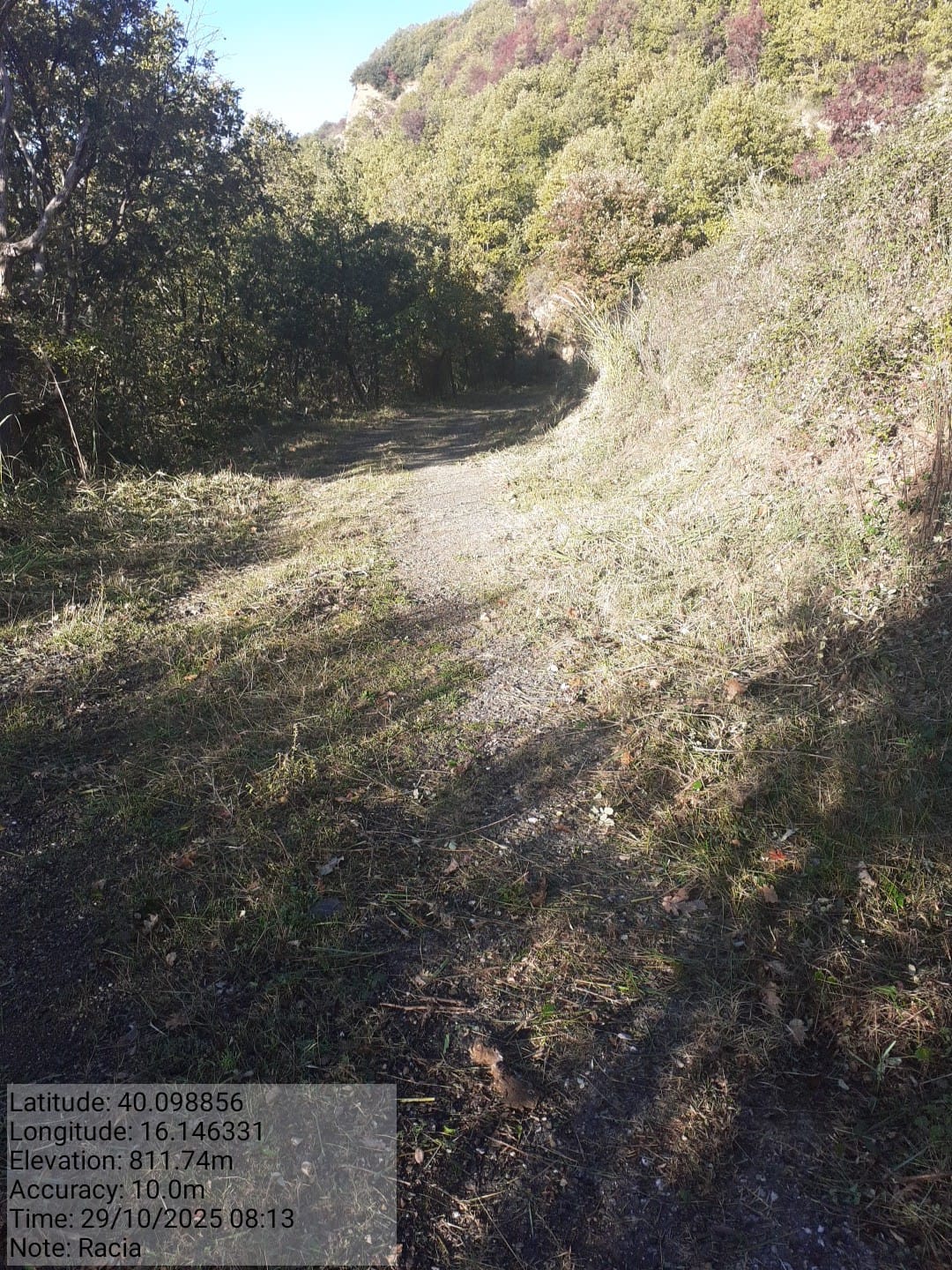 Galleria Fotografica Immagine