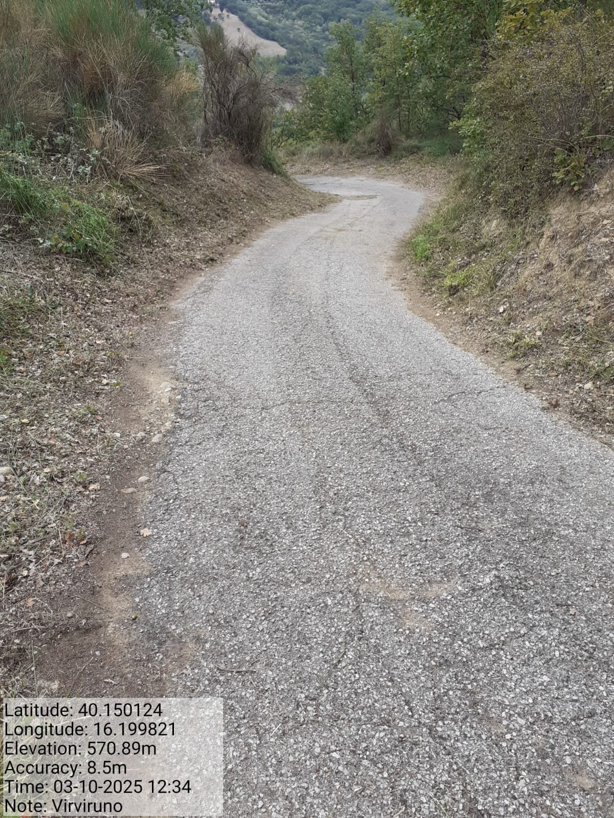 Galleria Fotografica Immagine