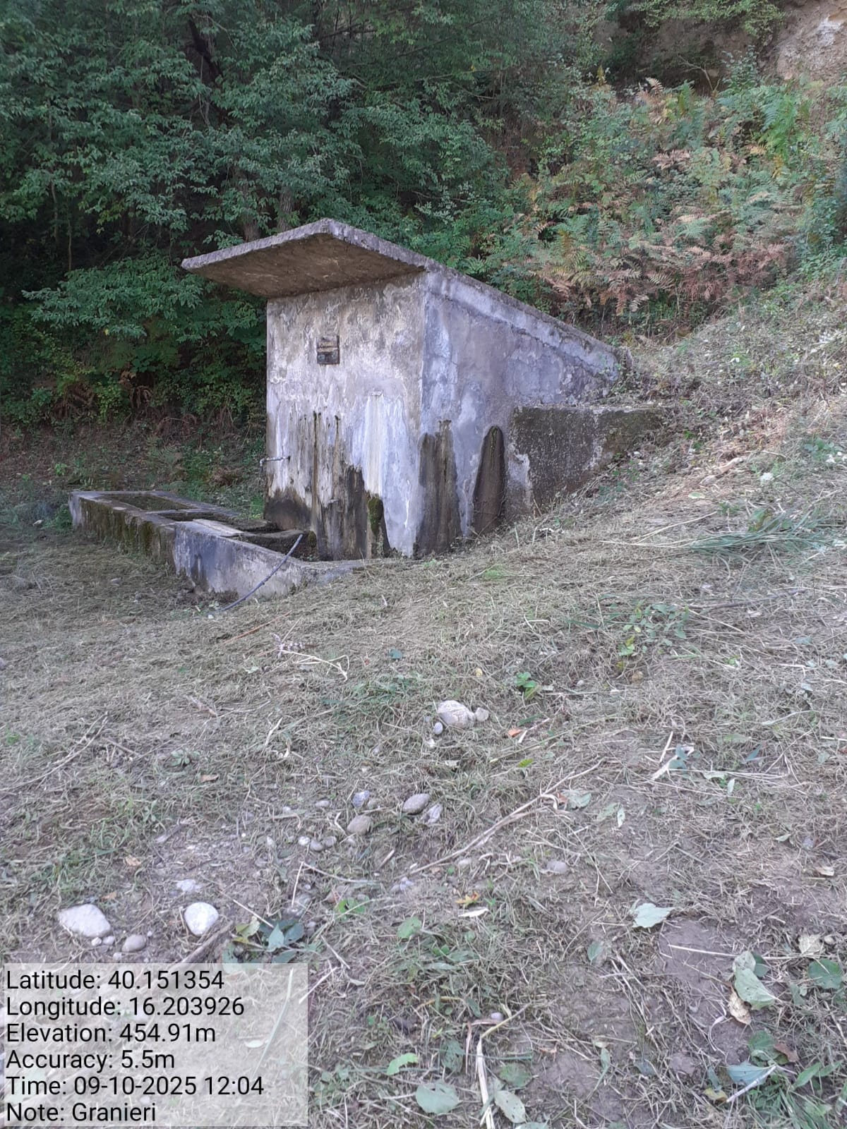 Galleria Fotografica Immagine