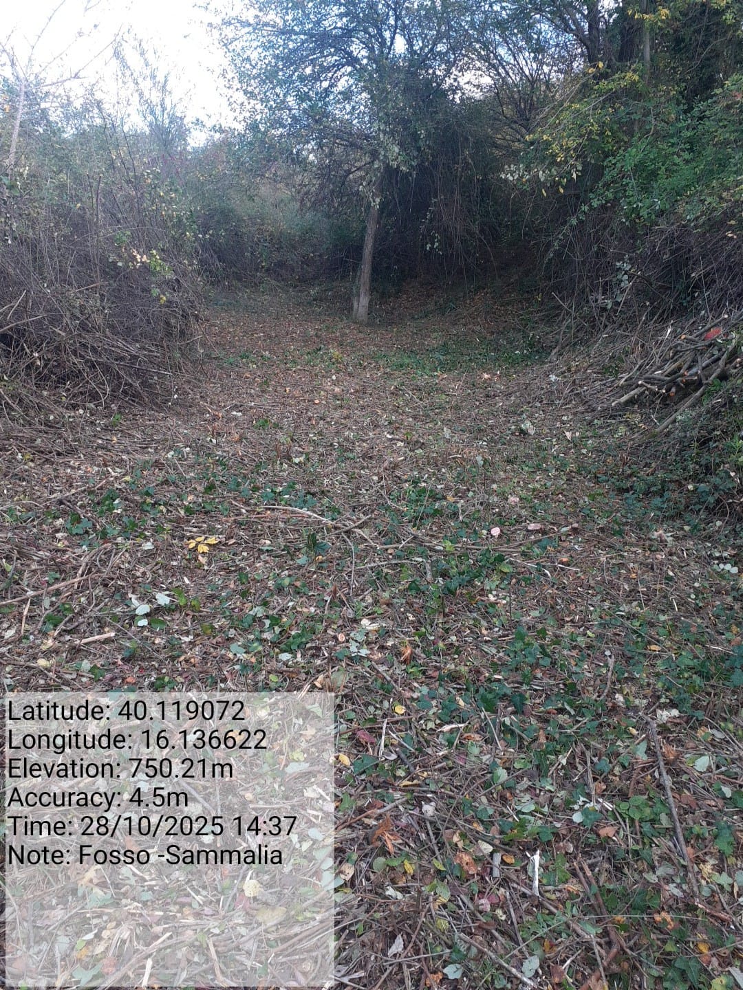 Galleria Fotografica Immagine