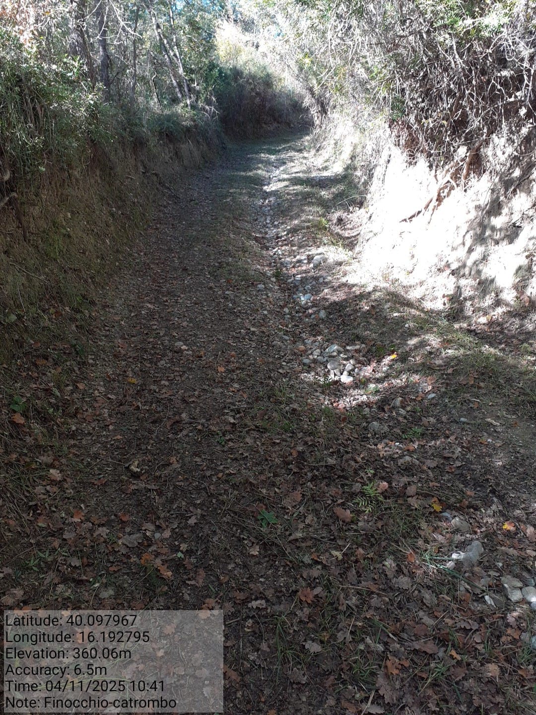 Galleria Fotografica Immagine