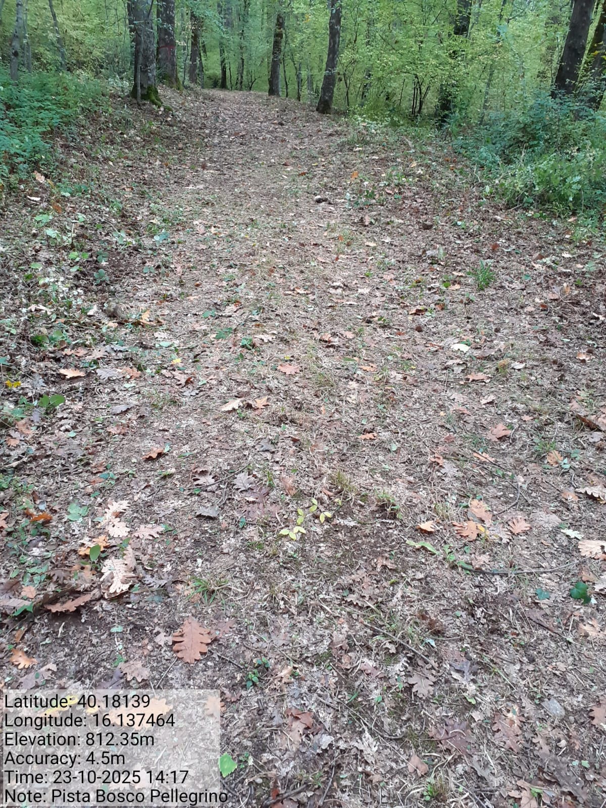 Galleria Fotografica Immagine